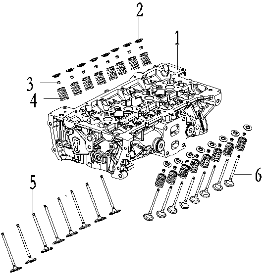 Valve and valve springs VALVE AND VALVE SPRING