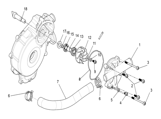 Water Pump assembly