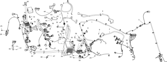 Low voltage wiring harness assembly-US standard